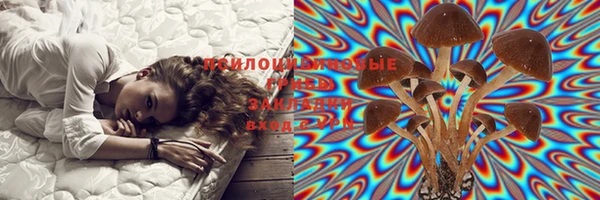 кристаллы Горняк