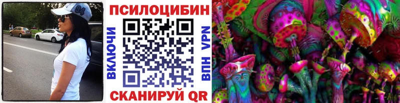 Галлюциногенные грибы Psilocybine cubensis  Купить где  Новотроицк 