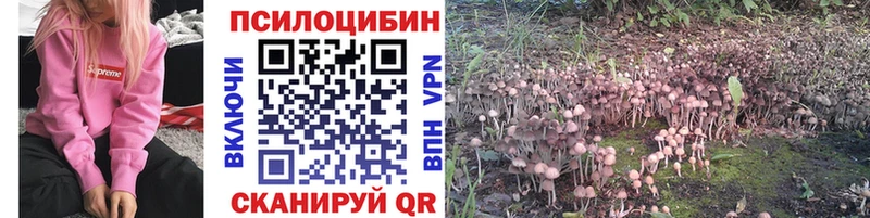 Галлюциногенные грибы Cubensis Новотроицк
