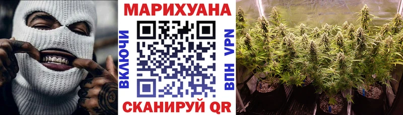 Каннабис планчик  Купить  Новотроицк 